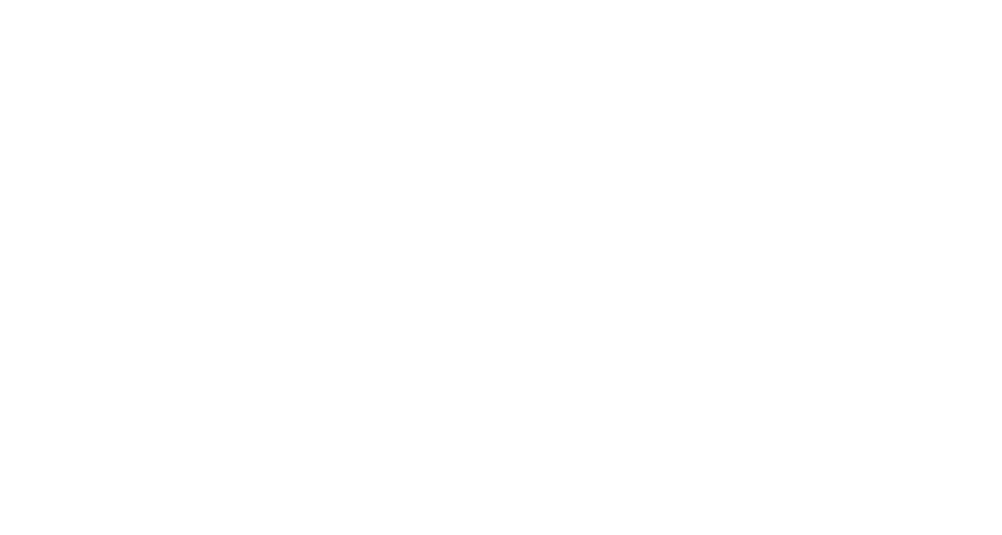 Three USDOT lettering layouts showing a basic carrier name, a longer carrier name, and an operated-by identification.